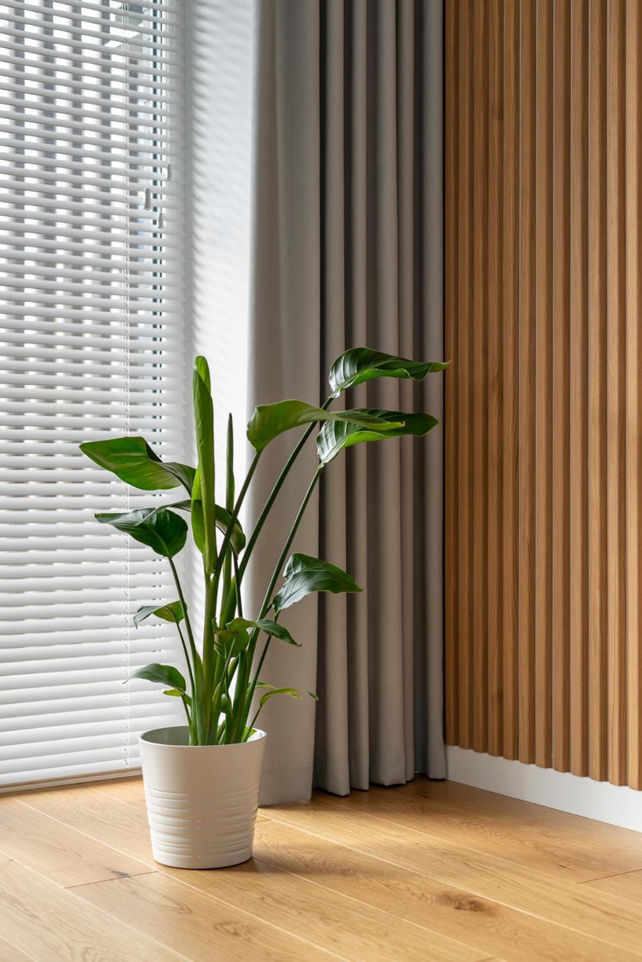 D33 Vilnius - Brand New Luxury Apartment With Terrace, Garden, Ac And Parking VNO Exterior foto
